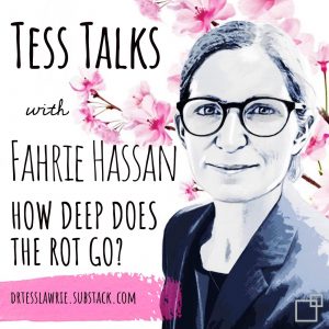 Read more about the article Fahrie Hassan: How Deep Does The Rot Go?  Follow the money conflicts of interest